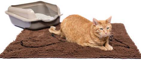Cat-Litter-Mat