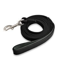 DogLeash