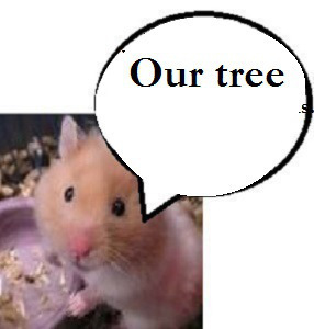 zhamsta41100djkjkjkjkj