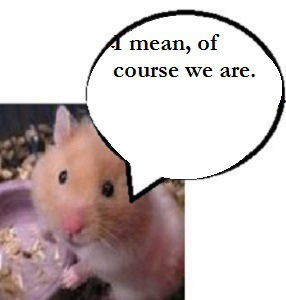 zhamsta411000000099999