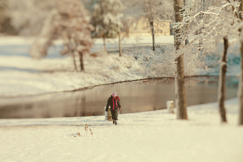 An Uncommon Love - The Ice Princess Arrives