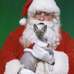 Giguhl Santa
