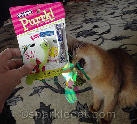 My human asked me why I have to put my mouth all over everything. Just cause