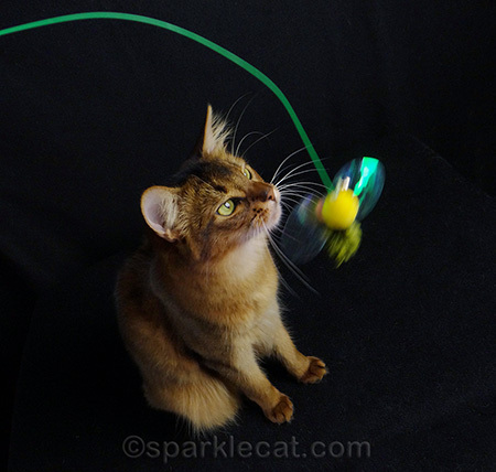 Of course, then it was hard for me to sit still!