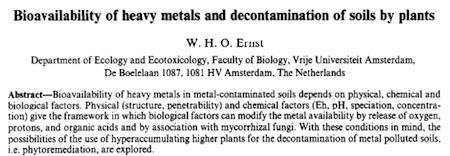 bioavailability-WHO-Ernst