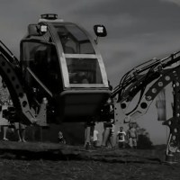 mantis
