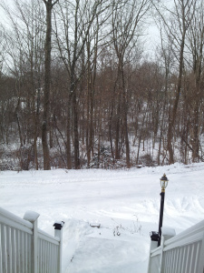 January 3 2014 snow storm