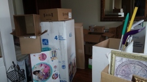 boxed