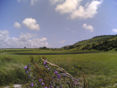 SussexDowns (7)