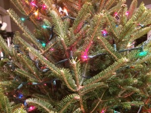 photo6