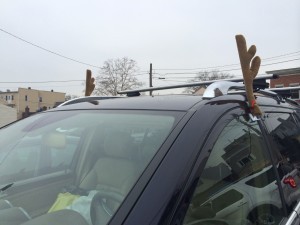 photo4