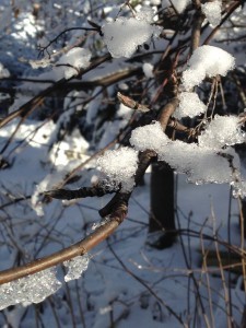 Snowday 2014-12-19 12.47.33 (2)