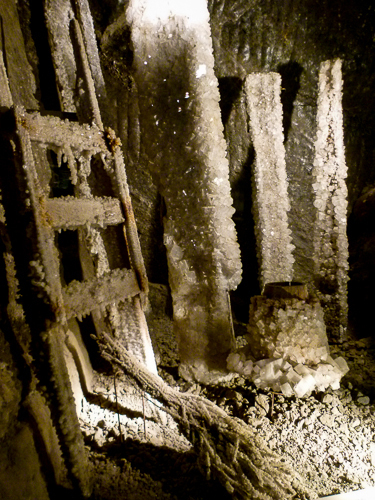 Salt Like Snow