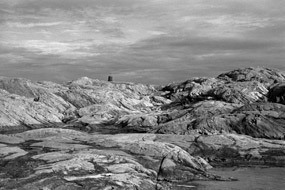 the-silver-quill-blogger-award