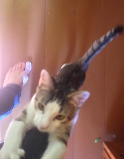 Jesse Sublett, author & musician