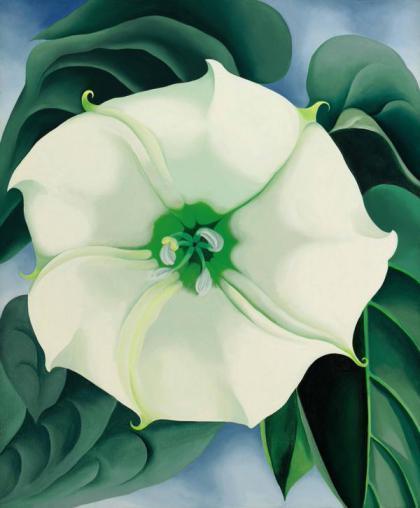 Jimson Weed White Flower No 1 by Georgia O'Keeffe 1932