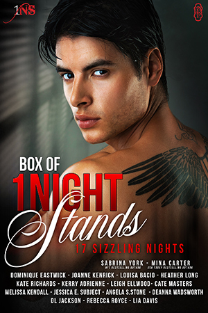 17 Sizzling Nights - Box of 1Night Stands Volume 2