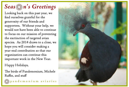 2014 Holiday Appeal.png