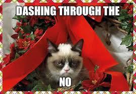 dashing through the no