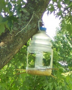 A birdfeeder made out of a juice bottle.