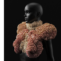 oxman-wanderers-1