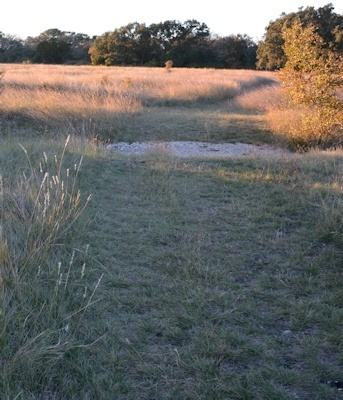Ditch-crossing-trail-split