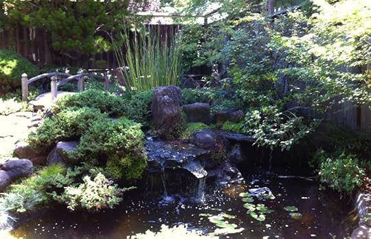 Partial Metamorphosis