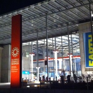 Sleeping with the Fishes