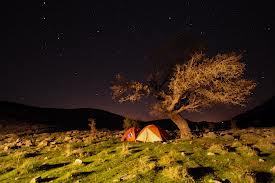 images (19)