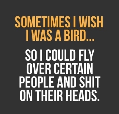  photo 34aa5fc6-c86c-4c68-9e69-fe026a7ad519_zps3c201842.jpg