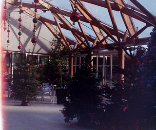 Christmas Trees