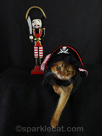 Swab the poop deck! And scoop the litter box while you're at it