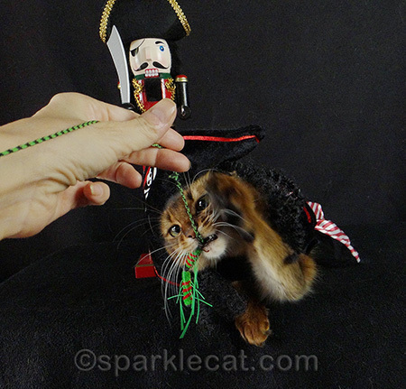 I didn't care about the costume as long as I could kill the Neko Fly!