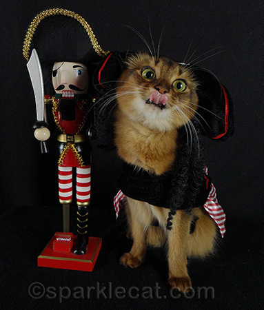 My human said I was not taking my job seriously enough! Yeah, so?