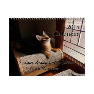 Summer's 2015 calendar