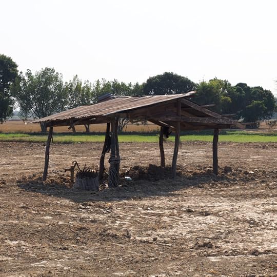 หนองแฟบ