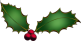 holly