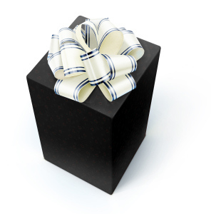 Gift isolated on a white.