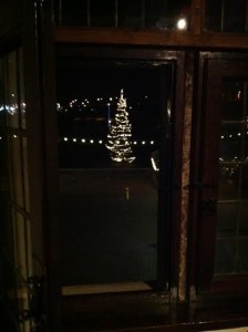 nijmegen christmas tree