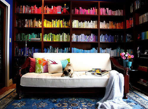 new books photo: Colorful Books Books.jpg