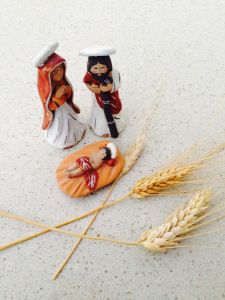 seeds_12162013
