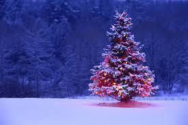 Natale