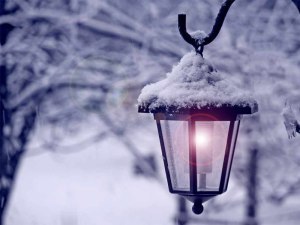 christmas light