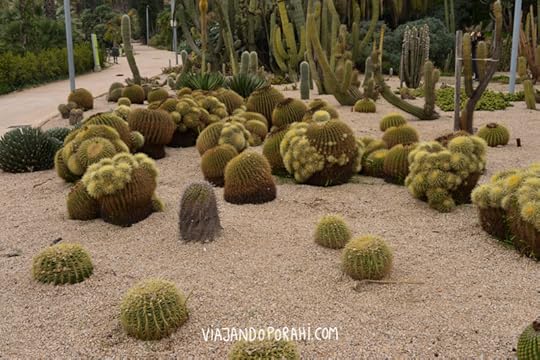 Uno de mis lugares preferidos: el jardín de los cactus de Mossèn Costa i Llobera, en Montjuic