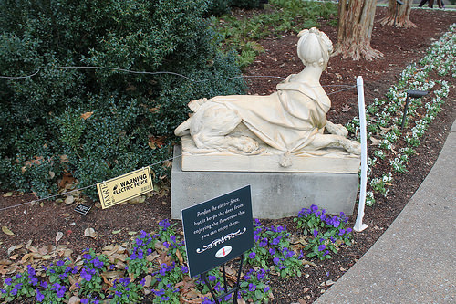 on guard at Cheekwood