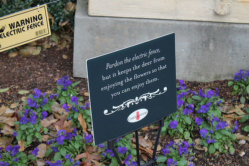 Cheekwood caution