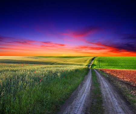 Beautiful sunset over field with green grass. HDR image