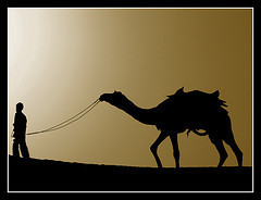 Man and camel in silhouette on a dune
