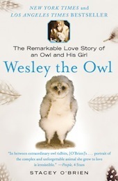 'Wesley the Owl' by Stacey O'Brien