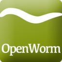 Openwormicon